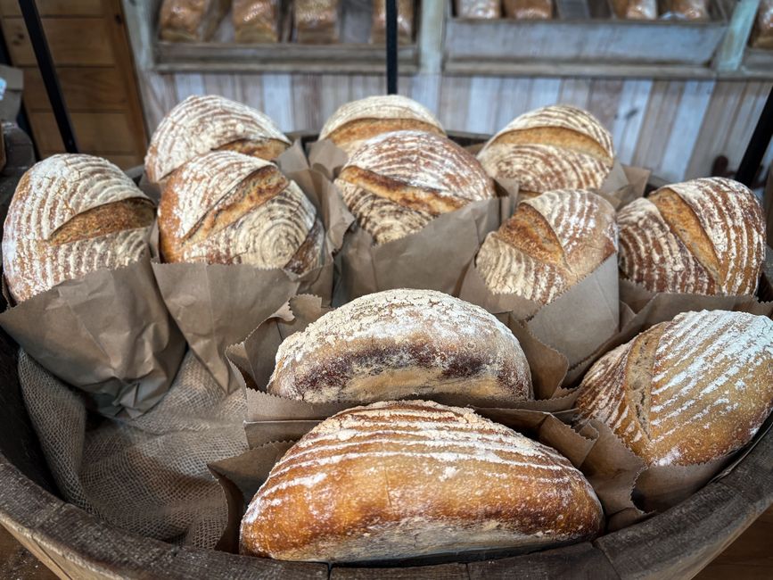 Canastas de mimbre con panes de masa madre en la vitrina de la panadería